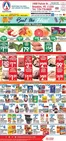 Associated catalogue | Discounts and promotions | 2026-07-10T00:00:00.000Z - 2026-07-16T00:00:00.000Z