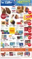 Dillons catalogue | Exclusive deals and bargains | 2026-07-15T00:00:00.000Z - 2026-07-21T00:00:00.000Z