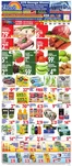 Bravo Supermarkets catalogue | Save now with our deals | 2026-07-24T00:00:00.000Z - 2026-07-30T00:00:00.000Z