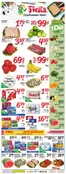 Fiesta Mart catalogue | Great discounts on selected products | 2026-08-05T00:00:00.000Z - 2026-08-11T00:00:00.000Z