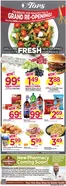 Tops catalogue | Discounts and promotions | 2026-08-09T00:00:00.000Z - 2026-08-15T00:00:00.000Z