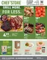 Chef'Store catalogue | Exclusive deals and bargains | 2026-08-10T00:00:00.000Z - 2026-08-23T00:00:00.000Z