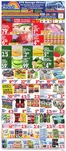 Bravo Supermarkets catalogue | Wide range of offers | 2026-08-28T00:00:00.000Z - 2026-09-03T00:00:00.000Z