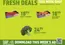 Chef'Store catalogue | Discounts and promotions | 2026-08-31T00:00:00.000Z - 2026-09-06T00:00:00.000Z