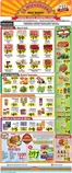 La Michoacana catalogue | Great offer for bargain hunters | 2026-09-16T00:00:00.000Z - 2026-10-13T00:00:00.000Z