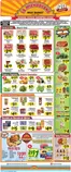 La Michoacana catalogue in Humble TX | Top deals and discounts | 2026-09-16T00:00:00.000Z - 2026-09-29T00:00:00.000Z