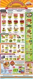 La Michoacana catalogue | Top offers for smart savers | 2026-09-16T00:00:00.000Z - 2026-10-13T00:00:00.000Z