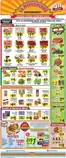 La Michoacana catalogue | Exclusive deals and bargains | 2026-09-16T00:00:00.000Z - 2026-09-29T00:00:00.000Z