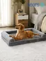 Sears catalogue | Great offer for bargain hunters | 2026-09-17T00:00:00.000Z - 2026-10-01T00:00:00.000Z