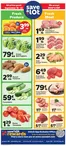 Save a Lot catalogue | Save now with our deals | 2026-09-16T00:00:00.000Z - 2026-09-22T00:00:00.000Z