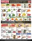 Pioneer Supermarkets catalogue | Pioneer Supermarkets weekly ad | 2026-09-21T00:00:00.000Z - 2026-09-27T00:00:00.000Z