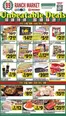 99 Ranch catalogue in Los Altos CA | Special offers for you | 2026-09-18T00:00:00.000Z - 2026-10-01T00:00:00.000Z