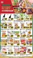 99 Ranch catalogue in Mountain View CA | Great discounts on selected products | 2026-10-02T00:00:00.000Z - 2026-10-15T00:00:00.000Z