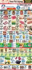 Associated catalogue | Wide range of offers | 2026-10-02T00:00:00.000Z - 2026-10-08T00:00:00.000Z