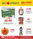 Woodman's catalogue | Woodman's weekly ad | 2026-10-08T00:00:00.000Z - 2026-10-14T00:00:00.000Z