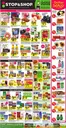 Stop&Shop catalogue | Exclusive bargains | 2026-10-09T00:00:00.000Z - 2026-10-15T00:00:00.000Z
