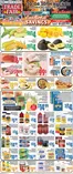 Trade Fair Supermarket catalogue | Discover attractive offers | 2026-10-09T00:00:00.000Z - 2026-10-15T00:00:00.000Z