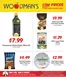 Woodman's catalogue in Schaumburg IL | Top offers for smart savers | 2026-10-15T00:00:00.000Z - 2026-10-21T00:00:00.000Z