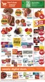 Pick'n Save catalogue | Top deals and discounts | 2026-10-21T00:00:00.000Z - 2026-10-27T00:00:00.000Z