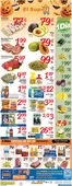 El Super catalogue | Great offer for all customers | 2026-10-21T00:00:00.000Z - 2026-10-27T00:00:00.000Z