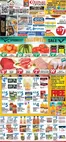 Compare Foods catalogue | Exclusive deals and bargains | 2026-10-23T00:00:00.000Z - 2026-10-28T00:00:00.000Z