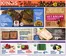 Kings Food Markets catalogue in Manhasset NY | Weekly Ad | 2026-10-30T00:00:00.000Z - 2026-11-05T00:00:00.000Z