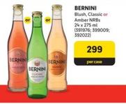 Bernini - Blush, Classic Or Amber NRBs