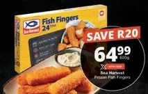sea harvest - Frozen Fish Fingers
