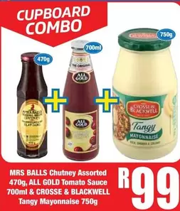 All Gold - Chutney Assorted, Tomato Sauce & Tangy Mayonnaise