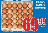Large Eggs