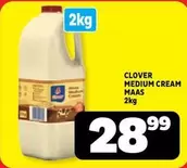 Clover - MEDIUM CREAM MAAS