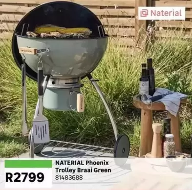 Phoenix Trolley Braai Green