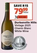 Durbanville Hills - Chenin Blanc White Wine