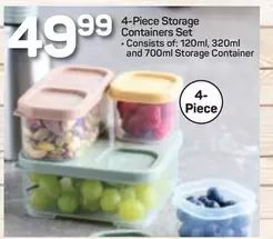 4-Piece Storage Containers Set