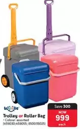 Trolley or Roller Bag