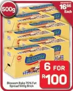 Blossom - Bake 70% Fat Spread 500g Brick