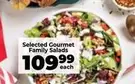 Gourmet -  Family Salads