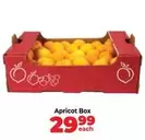 Apricot Box