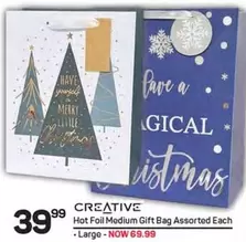 Creative - Hot Foil Medium Gift Bag Assorted Each
