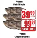 Frozen - Fish Tilapia or Chicken Wings