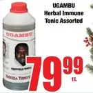 Herbal Immune Tonic Assorted