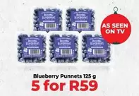 Blueberry Punnet