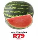 Large Watermelons