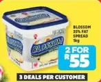 Blossom - 25% FAT SPREAD