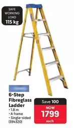 6-Step Fibreglass Ladder