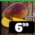 Mango - MANGO