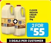 Clover - MEDIUM CREAM MAAS