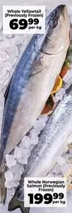 Frozen - Whole Yellowtall or Whole Norwegian Salmon