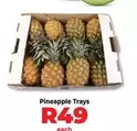 Pineapple Trays