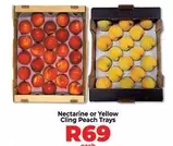 Nectarine or Yellow Cling Peach Trays